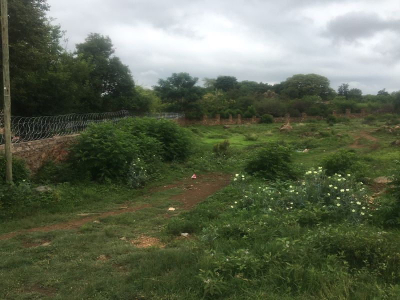 A view of a vacant residential plot featuring natural vegetation, a stone boundary wall, and security razor wire fencing.