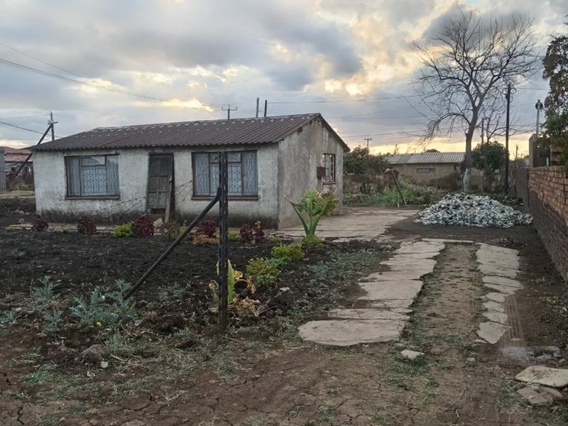 Front view of a single-story detached house featuring a corrugated metal roof, concrete pathway, and surrounding yard space with boundary fencing.