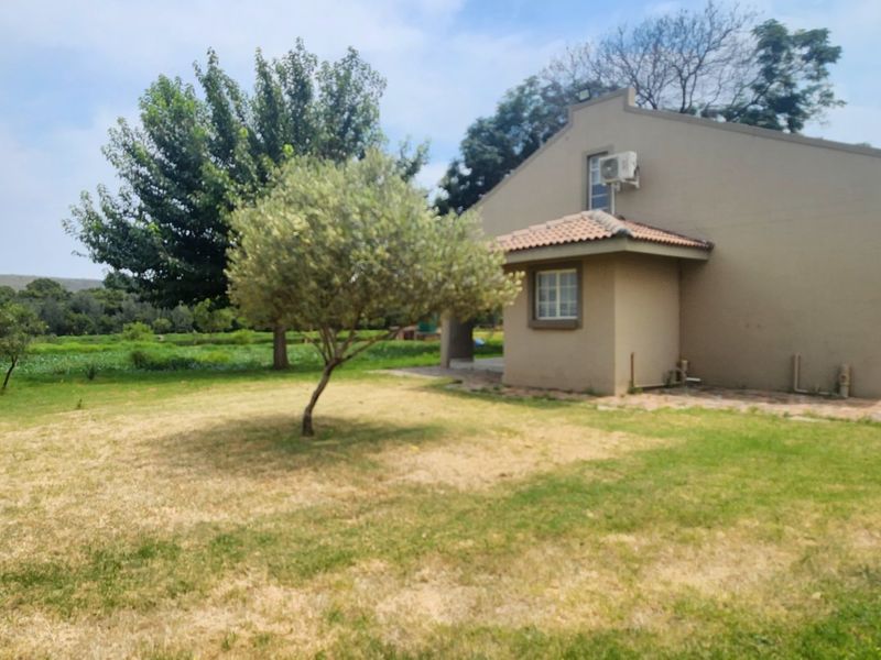 Rear view of the property featuring a paved patio, split-system air conditioning unit, and a spacious garden area.