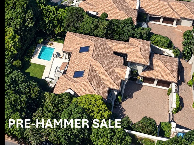 Aerial view of a residential property featuring a tiled roof, skylights, a swimming pool, and a paved driveway surrounded by mature trees.