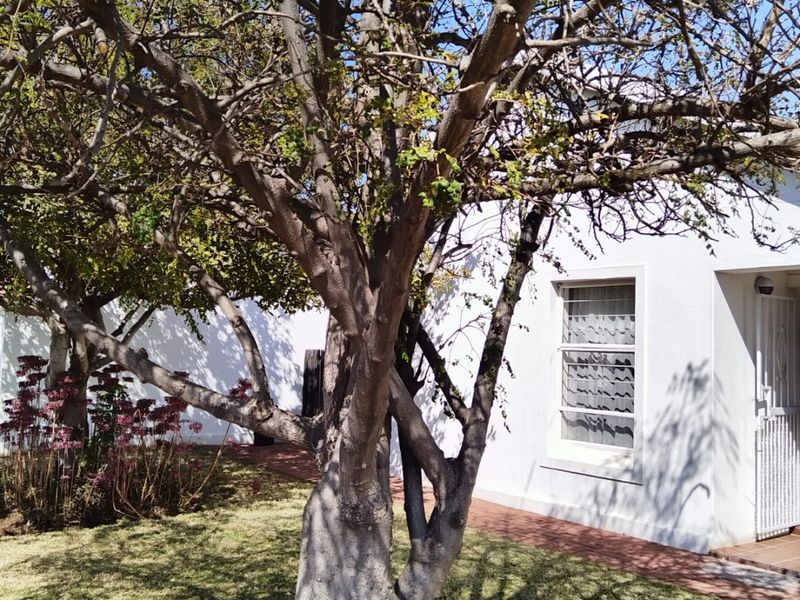 A well-maintained garden area featuring a large mature tree, a paved walkway, and a view of the white exterior wall and security entrance.
