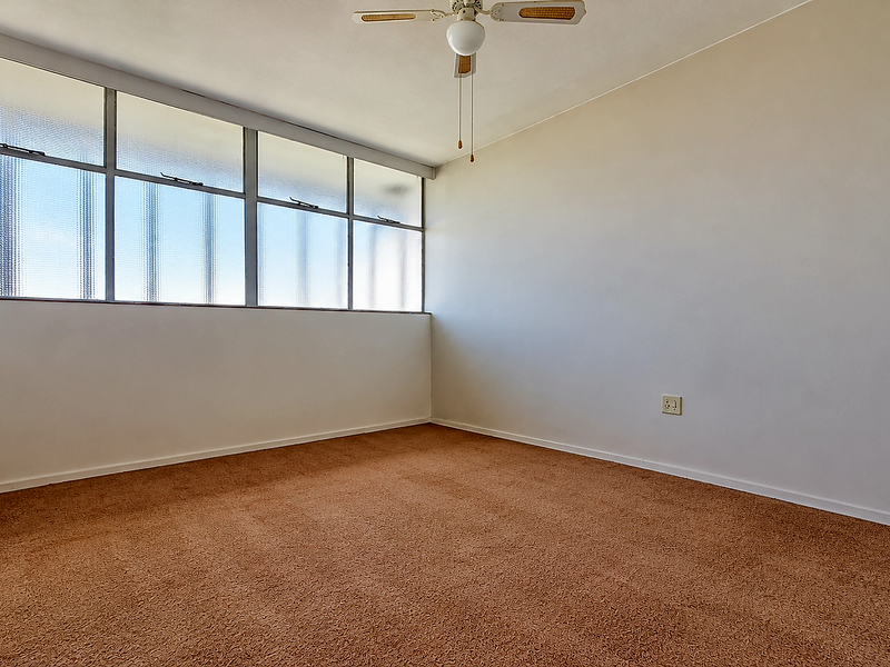An empty bedroom featuring carpet flooring, a ceiling fan, and large metal-framed windows with textured glass panes.