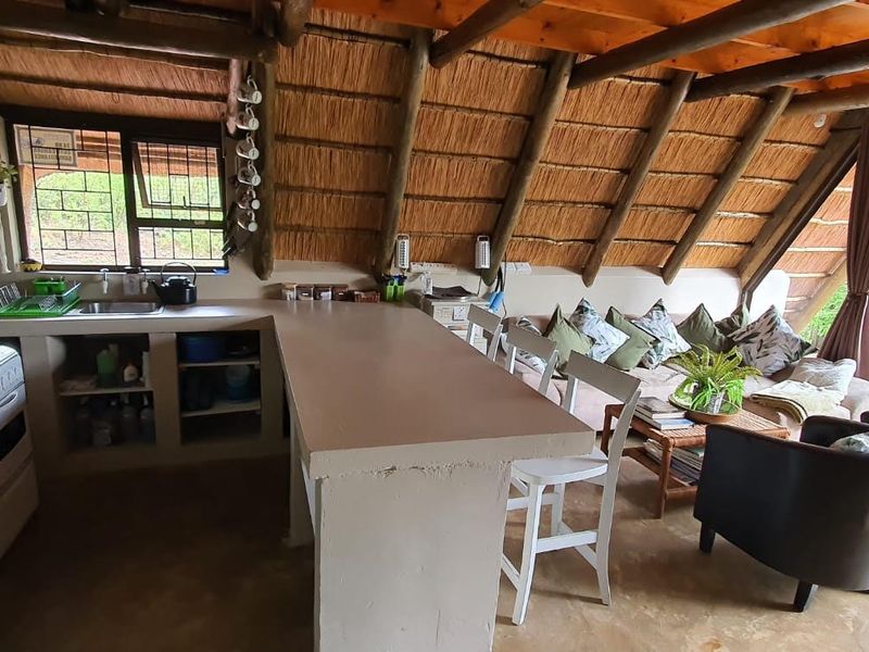 Open-plan living area featuring a rustic thatched roof with exposed timber rafters, a built-in concrete kitchen counter, and direct access to the outdoors.