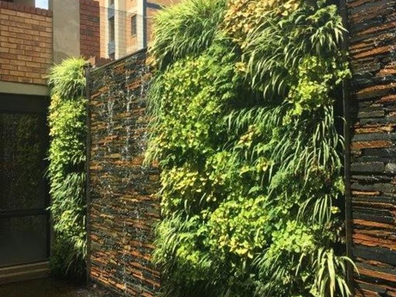 A beautifully maintained vertical garden wall featuring integrated water feature and natural stone cladding, creating a serene outdoor atmosphere.