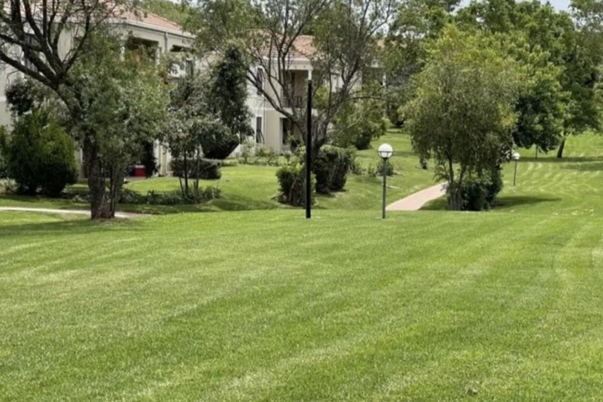 A view of the well-maintained communal garden area featuring expansive lawns, mature trees, and paved pathways surrounding the apartment complex.