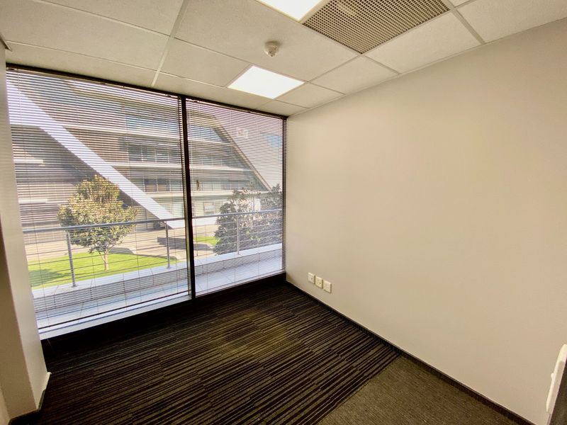 A clean, empty office space featuring carpeted flooring, a suspended ceiling with recessed lighting, and a large window with venetian blinds.