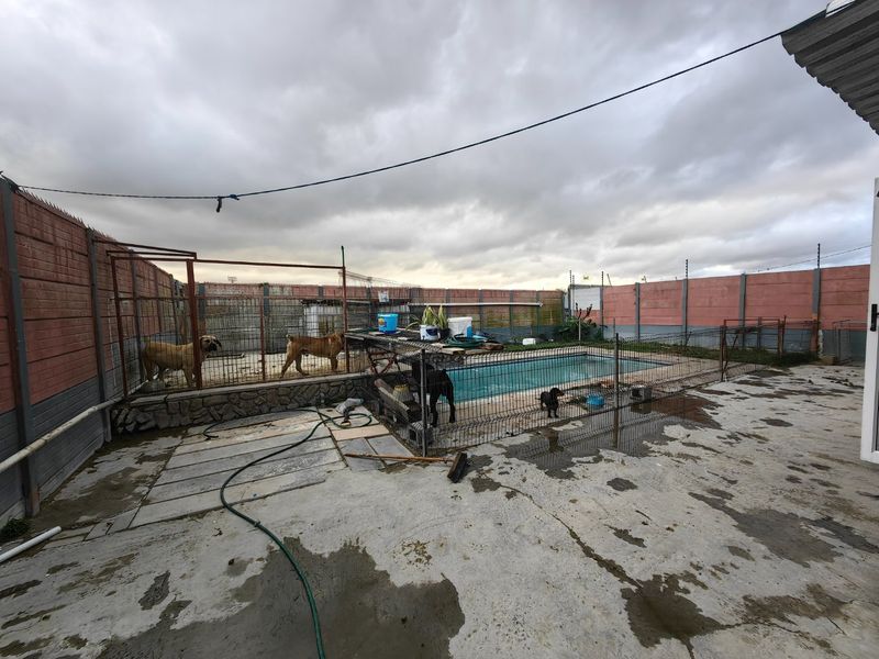 Outdoor pool area featuring a swimming pool enclosed by wire fencing, surrounded by concrete paving and perimeter precast walling with electric security fencing.