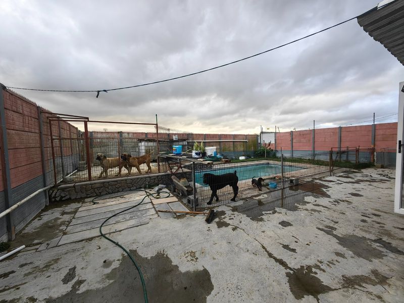Outdoor pool area featuring a swimming pool, concrete paving, and perimeter walling with electric fencing, requiring maintenance and surface repairs.