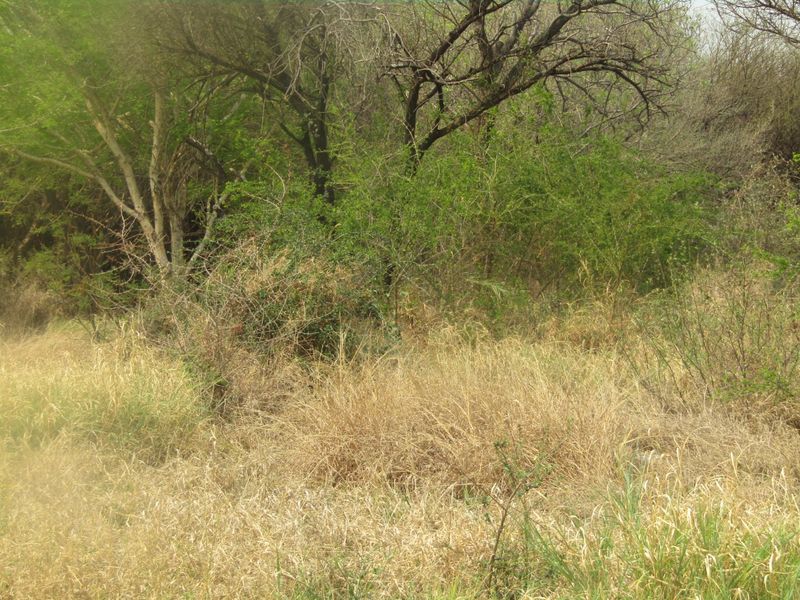 Vacant Land for Sale – Thabazimbi   - Photo 5