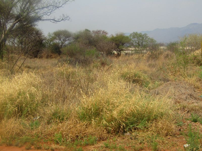 Vacant Land for Sale – Thabazimbi   - Photo 6