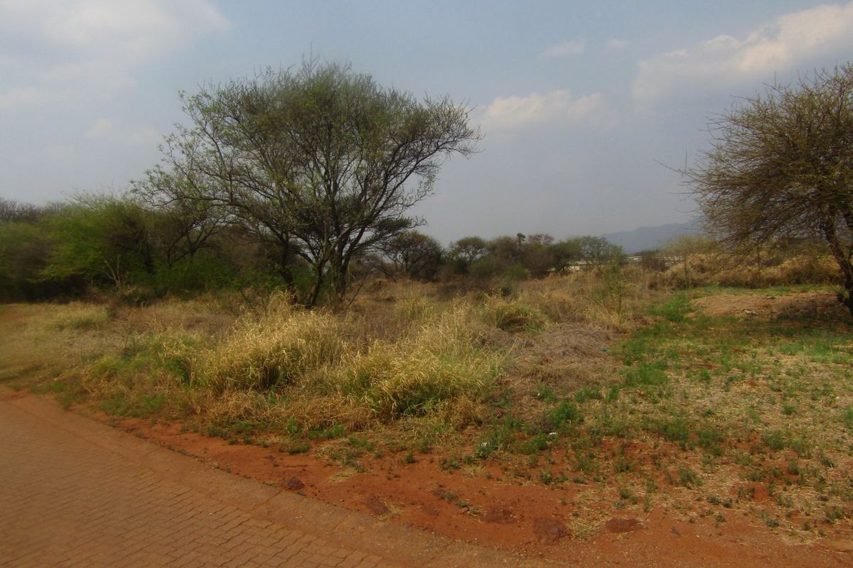 A view of a vacant residential plot of land featuring natural vegetation and adjacent paved road access.