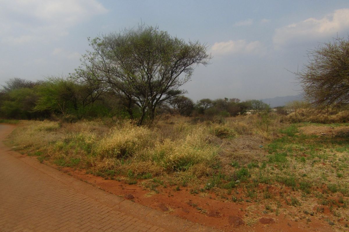A view of an undeveloped residential plot adjacent to a paved road, featuring natural vegetation and trees.