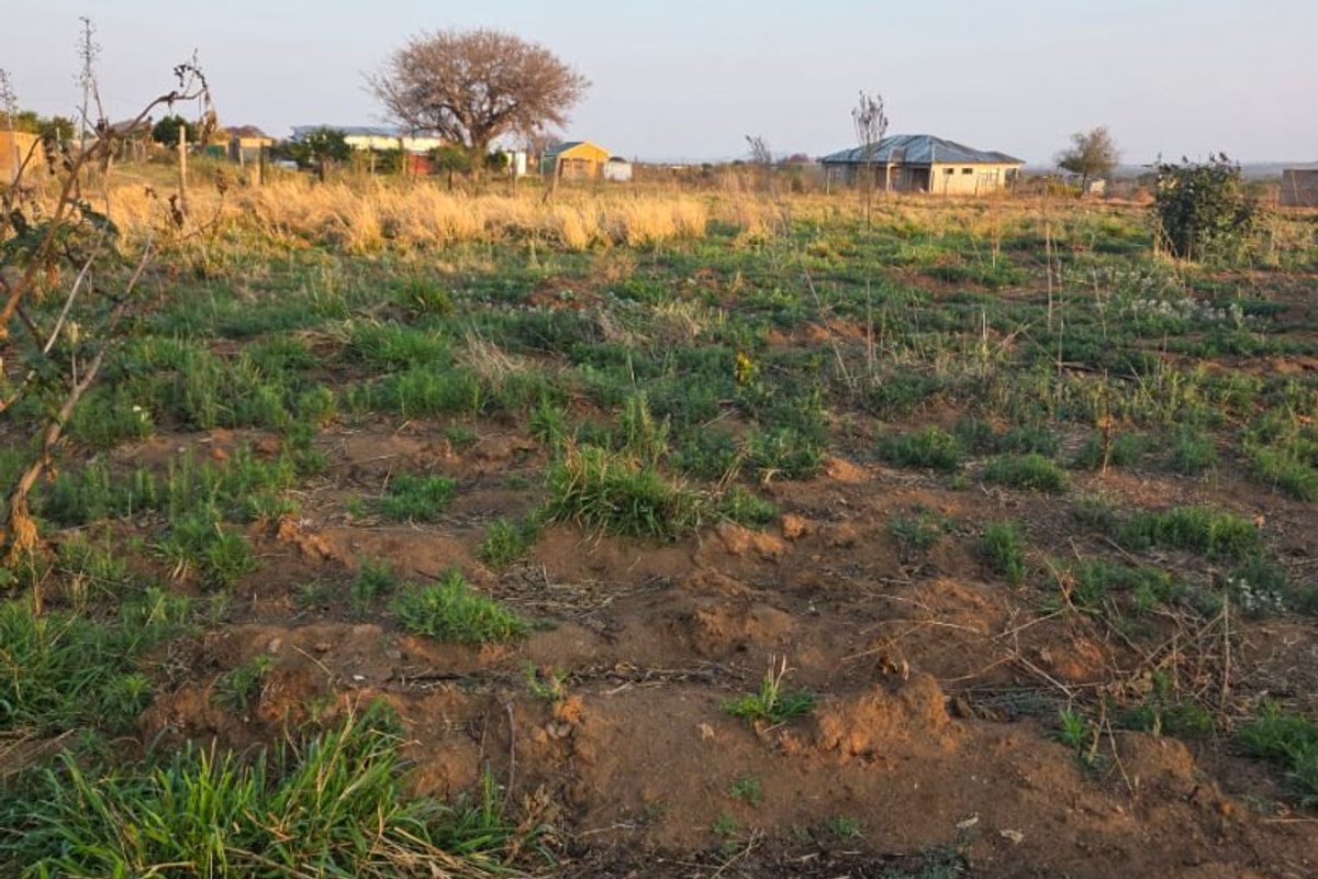 A view of an undeveloped residential plot featuring natural vegetation and open land, suitable for future construction or landscaping projects.
