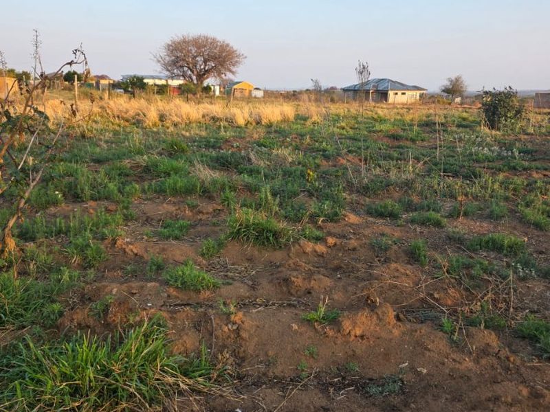 A view of an undeveloped residential plot featuring natural vegetation and open land, suitable for future construction or landscaping projects.