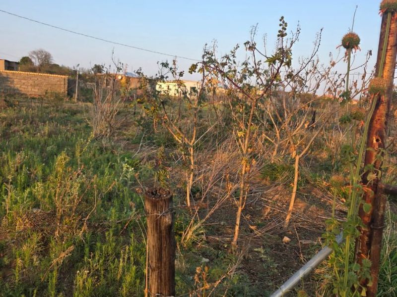 A view of a vacant residential plot featuring overgrown vegetation and existing wire and wood perimeter fencing.