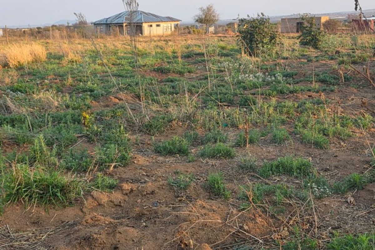 A view of a vacant residential plot featuring natural vegetation and surrounding neighborhood structures.