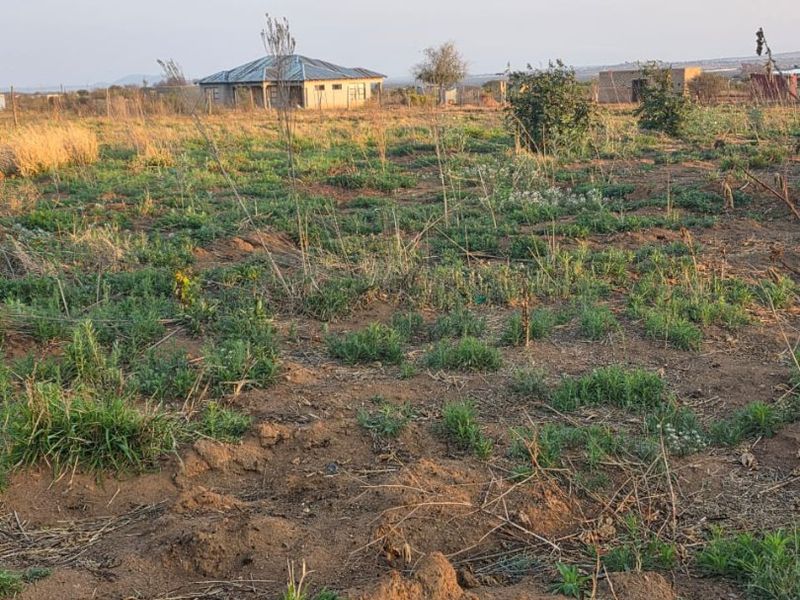 A view of a vacant residential plot featuring natural vegetation and surrounding neighborhood structures.