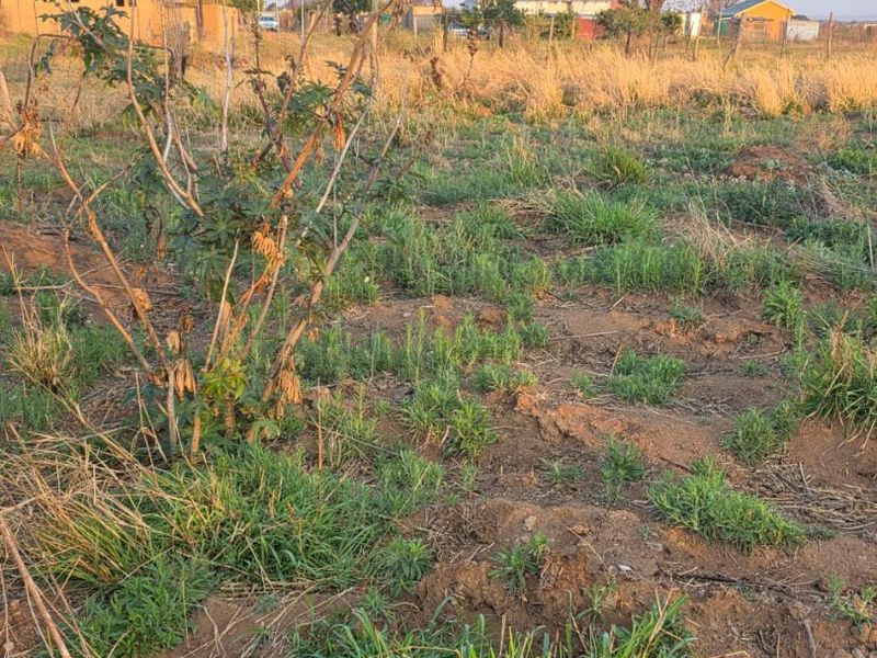A view of an undeveloped residential plot featuring natural vegetation and open ground, situated in a residential neighborhood.