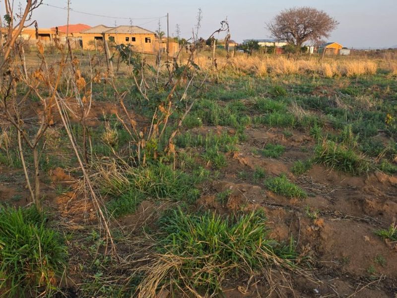 A view of an undeveloped residential plot featuring natural vegetation and open land, suitable for future construction or landscaping projects.