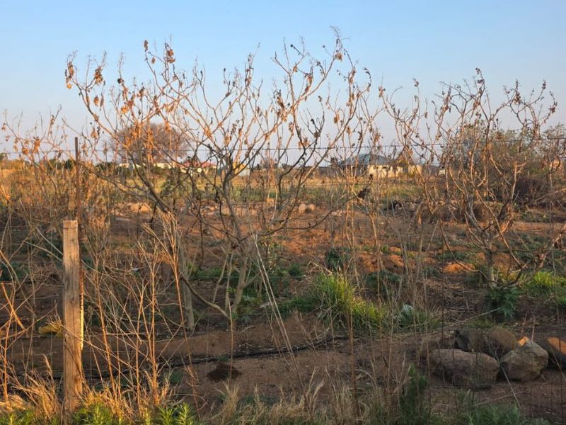 A view of a vacant residential plot featuring dry, overgrown vegetation and basic wire fencing.