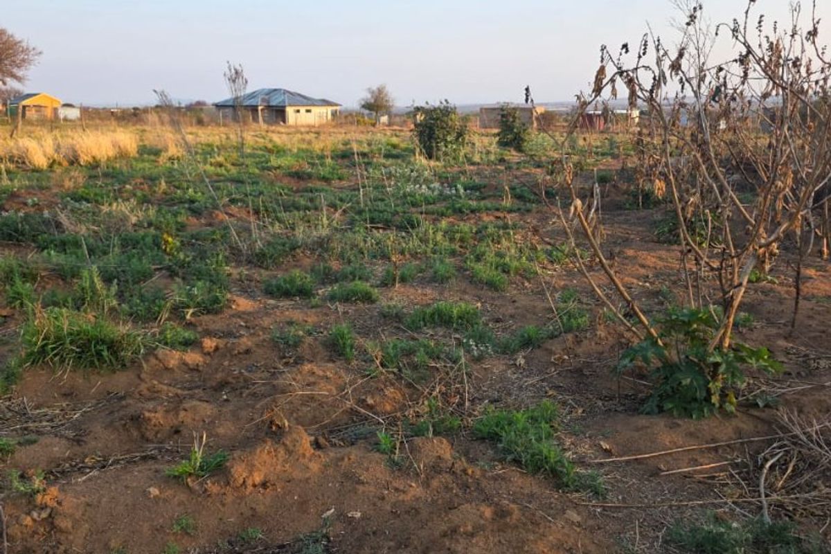A view of an undeveloped residential plot featuring natural vegetation and open land, suitable for future construction or landscaping projects.