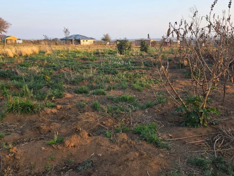A view of an undeveloped residential plot featuring natural vegetation and open land, suitable for future construction or landscaping projects.