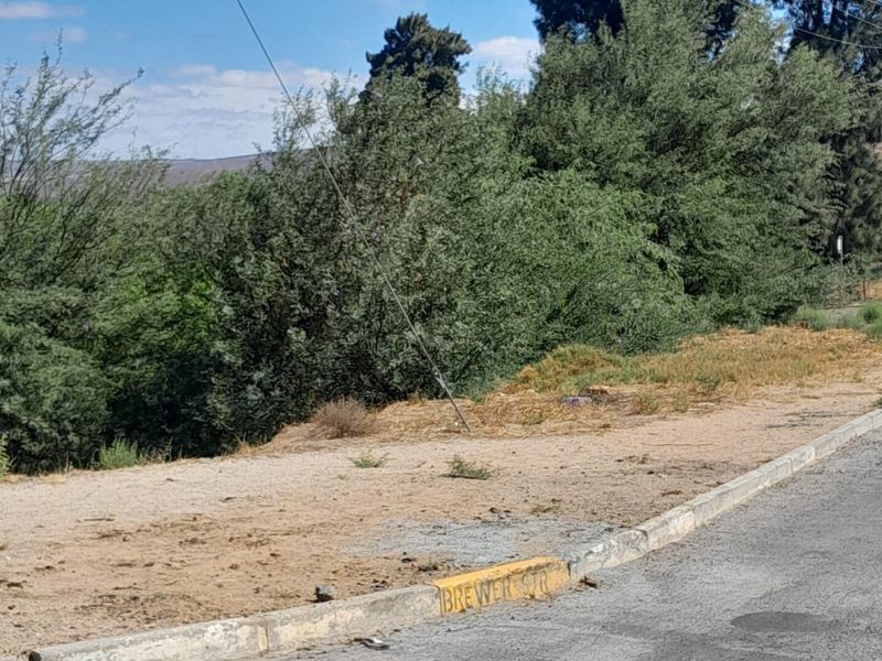 A street-level view of the vacant residential land, showing the curb, roadside verge, and surrounding vegetation.