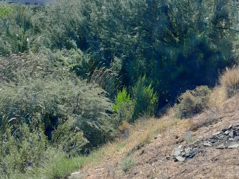 A view of the natural, sloped landscape featuring dense native vegetation and shrubs on the residential property.