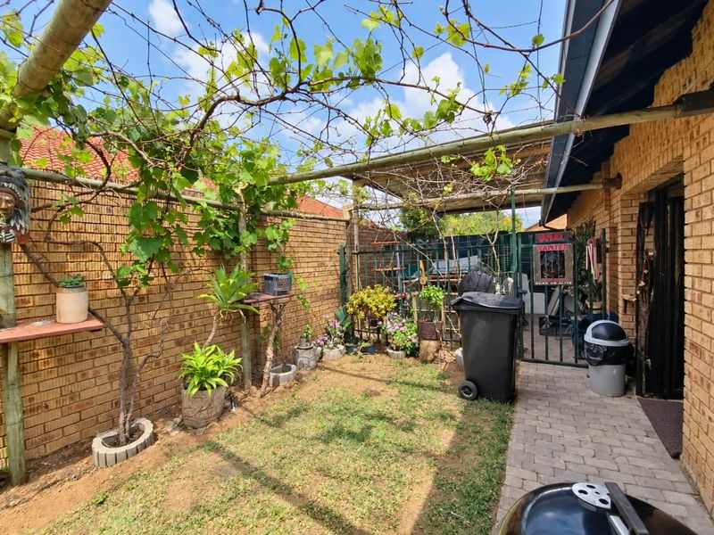 A rear courtyard area featuring a brick wall, paved walkway, and a timber pergola structure with climbing vines.