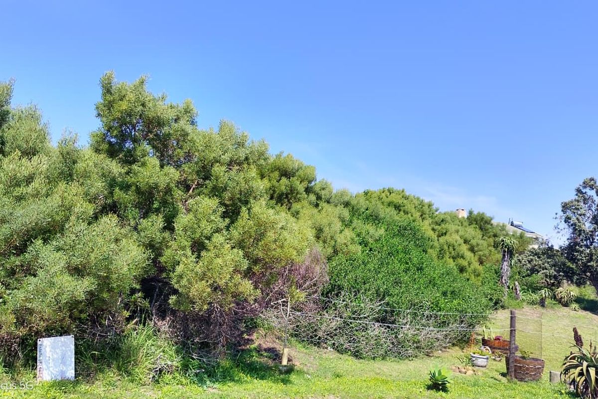 A view of a residential vacant land plot featuring established trees, natural vegetation, and wire boundary fencing under a clear blue sky.
