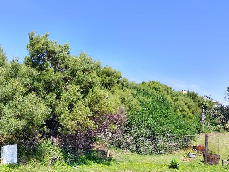 A view of a residential vacant land plot featuring established trees, natural vegetation, and wire boundary fencing under a clear blue sky.