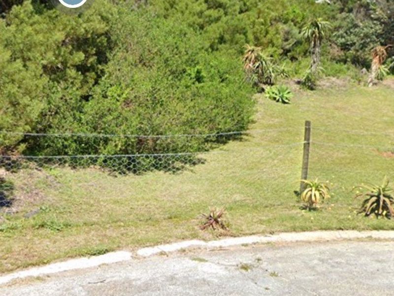A view of a vacant residential plot featuring established trees, shrubs, and wire fencing along the road frontage.