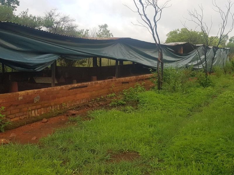 An outdoor utility structure or animal enclosure featuring brick walls, wire mesh, and a damaged corrugated roof, situated in an overgrown area.