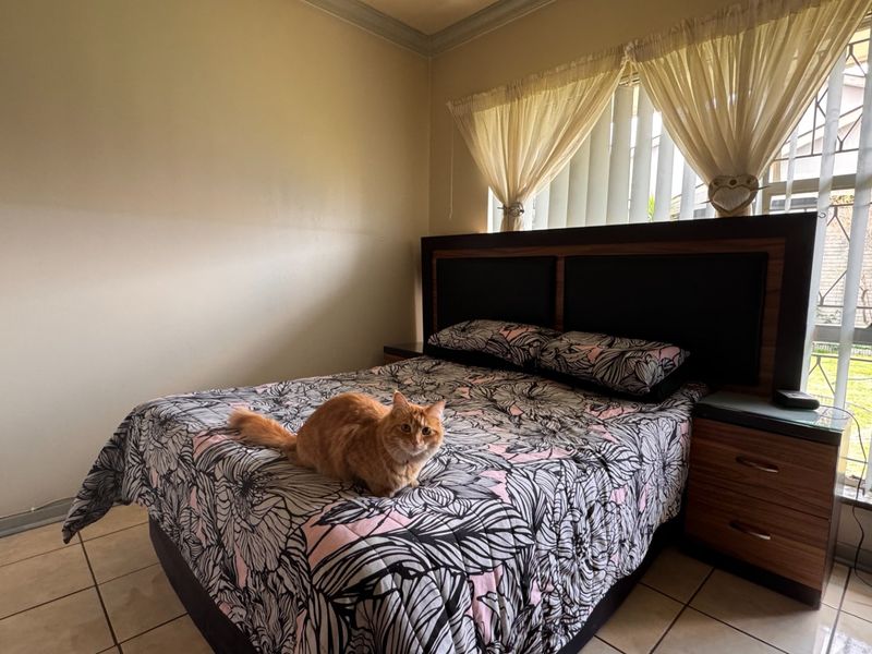 A bedroom featuring tiled flooring, a built-in headboard, and a window fitted with security bars.