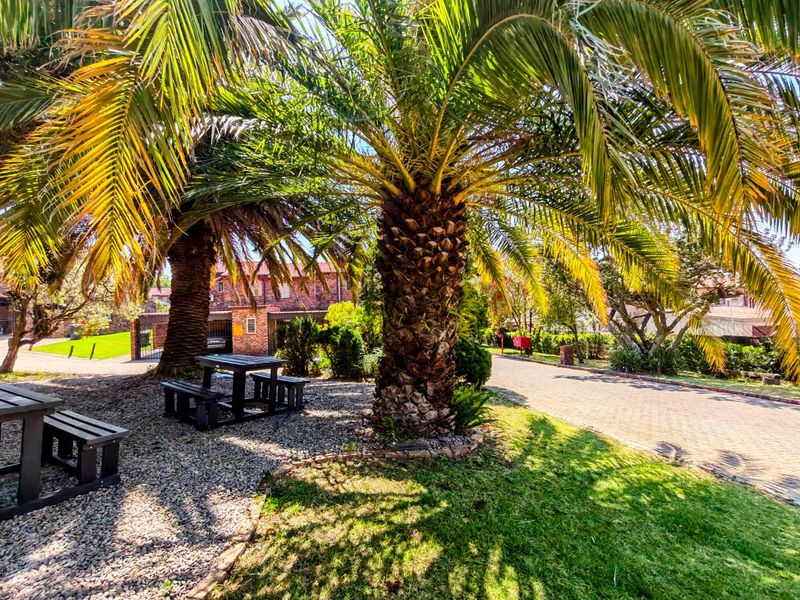 A well-maintained communal garden area featuring mature palm trees, gravel landscaping, and paved pathways within the townhouse complex.