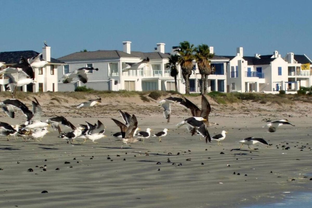 A view of the rear elevation of coastal residential properties from the sandy beach, featuring white facades and balconies.