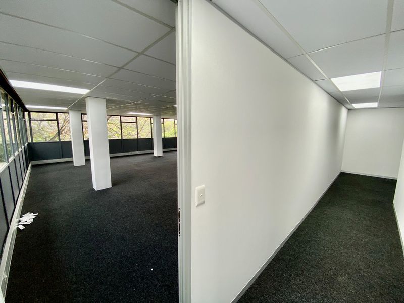 An open-plan commercial office space featuring dark carpeting, suspended ceilings with recessed lighting, and large windows providing natural light.