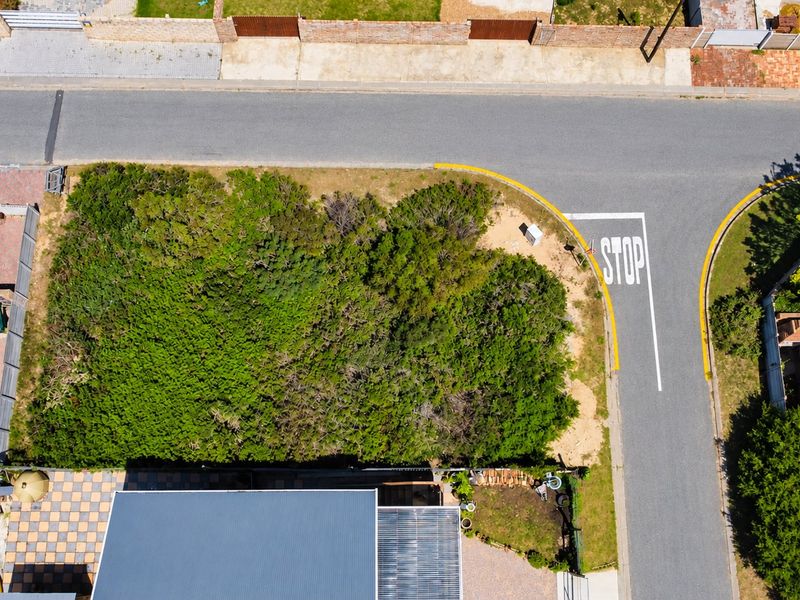 An aerial view of a vacant residential corner plot featuring established vegetation, situated at a street intersection with clear road markings.