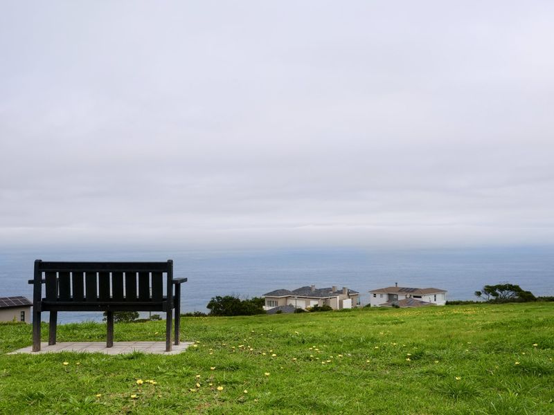 A scenic coastal view overlooking the ocean and surrounding residential properties from a grassy vantage point.