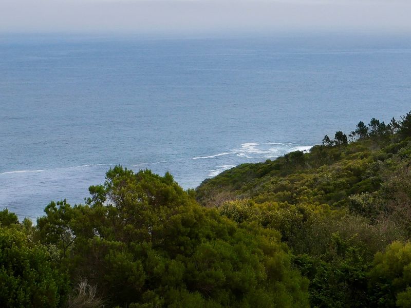 A scenic elevated view overlooking the coastline, featuring lush coastal vegetation and the ocean horizon.