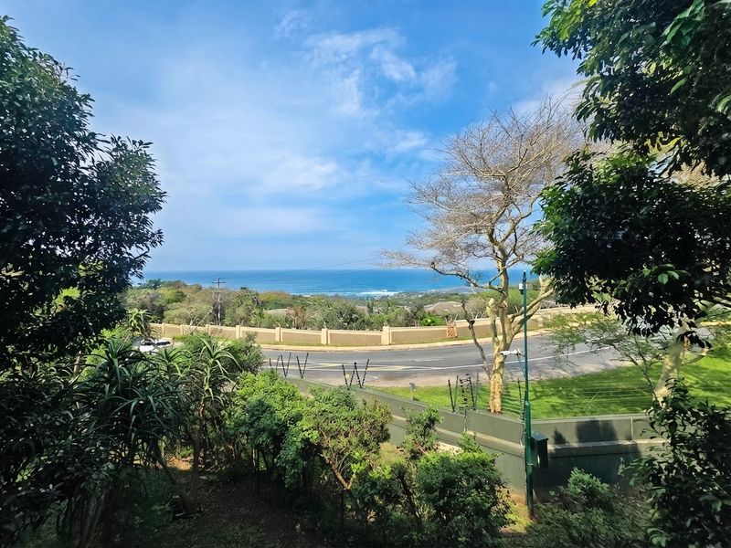 Elevated coastal view overlooking a suburban road, perimeter wall, and lush greenery with the ocean visible in the distance.