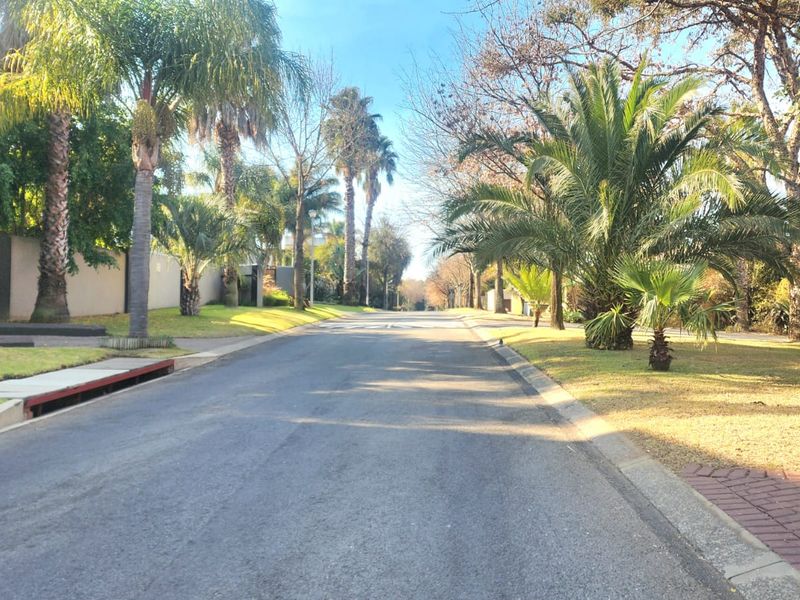A view of a well-maintained residential street featuring mature palm trees, landscaped verges, and paved boundary walls.