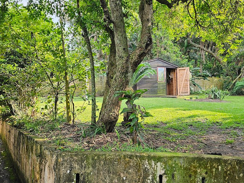 A spacious backyard featuring a well-maintained lawn, mature trees, and a timber garden shed, bordered by a concrete retaining wall.