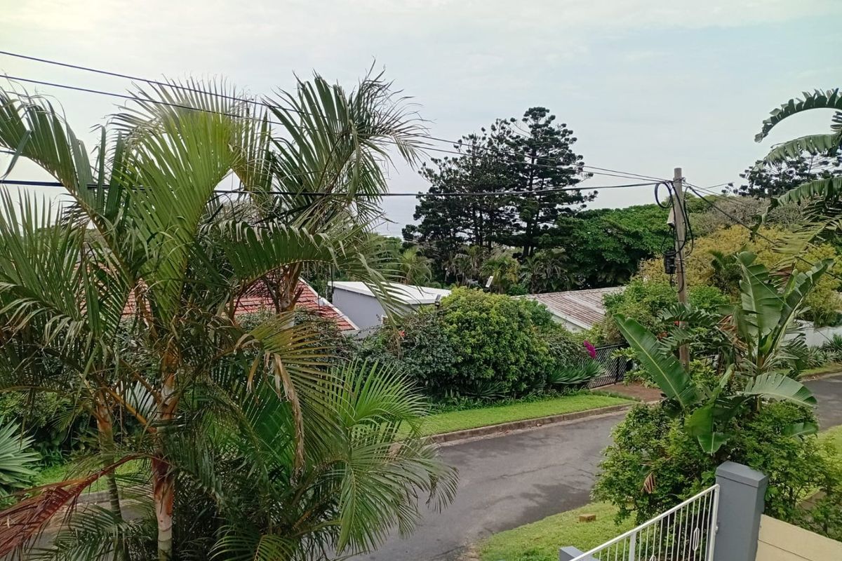 An elevated view overlooking a quiet suburban street with mature trees and lush greenery.