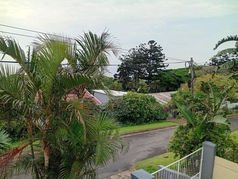An elevated view overlooking a quiet suburban street with mature trees and lush greenery.