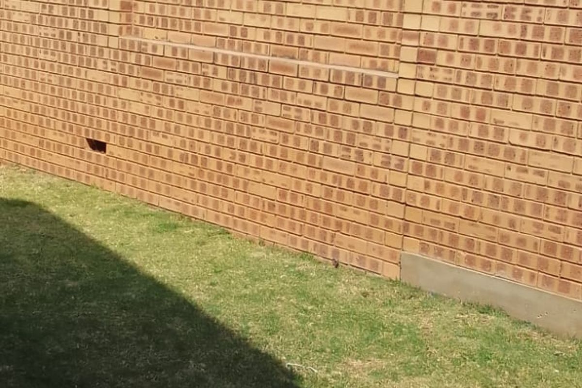 A rear garden area featuring a brick boundary wall, a small lawn, and a paved patio section.
