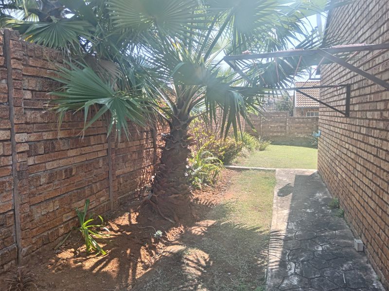 A rear garden area featuring a brick boundary wall, a paved walkway, and a wall-mounted clothesline.