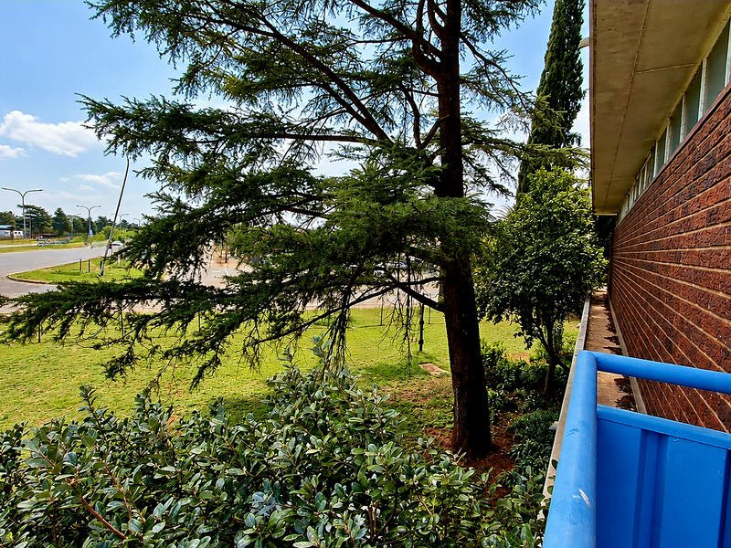 An exterior balcony view featuring a brick facade, blue metal railing, and a concrete overhang overlooking a garden area.