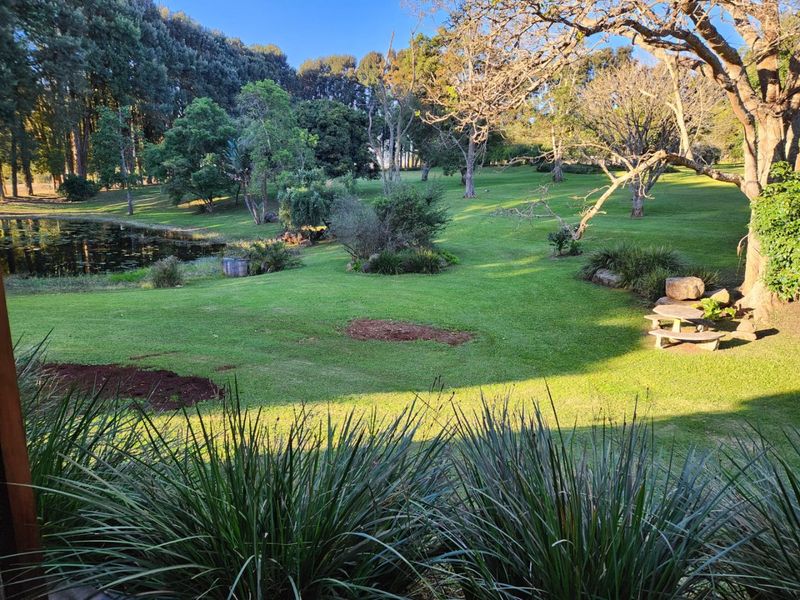 A spacious, well-maintained garden featuring a tranquil pond, mature trees, and expansive green lawns, offering a peaceful outdoor setting.