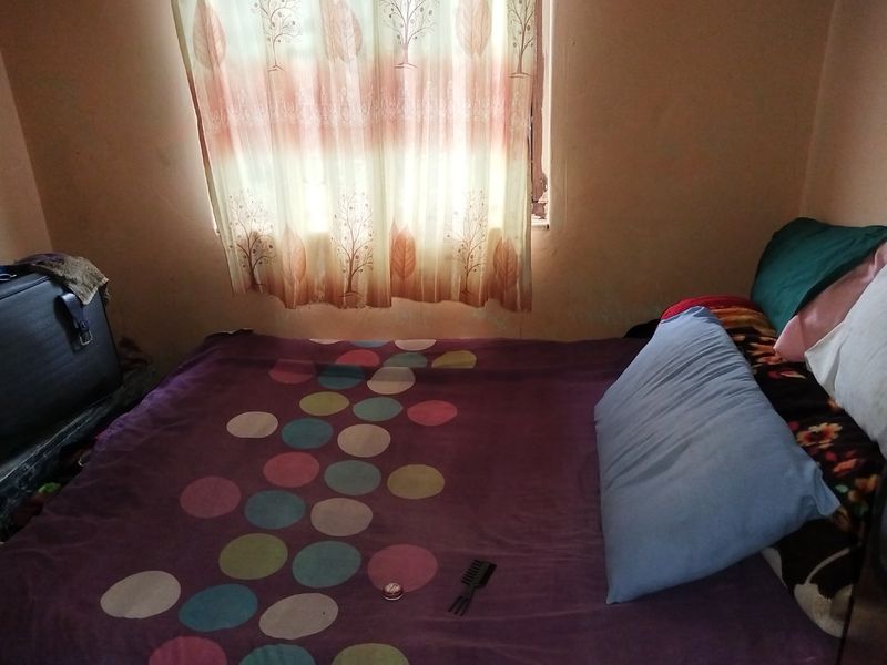 A bedroom featuring a window with curtains, showing signs of wall wear and requiring cosmetic updates.